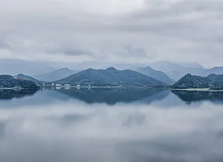围绕鲸鱼体育官网，鲸鱼直播持续打磨更优质的服务。 - 鲸鱼直播